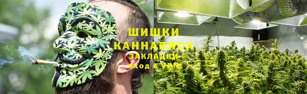 МДПВ Вязьма
