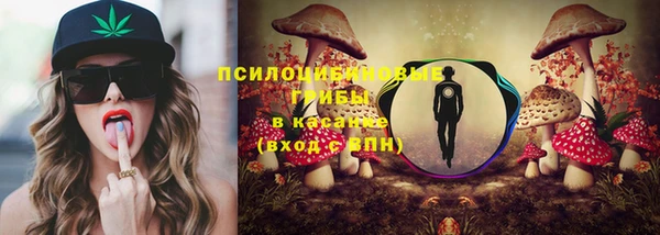 jwh Вяземский