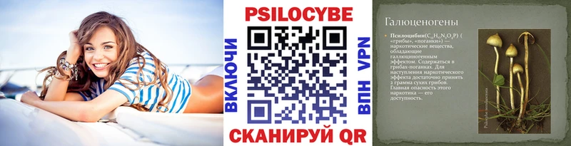 Псилоцибиновые грибы GOLDEN TEACHER  Егорьевск 